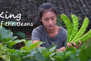 Cómo Plantar Sword Beans