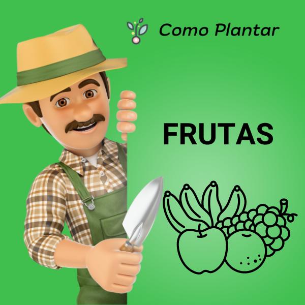 Guía para plantar frutas